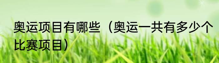 奥运项目有哪些（奥运一共有多少个比赛项目）