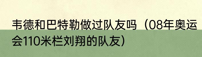 韦德和巴特勒做过队友吗（08年奥运会110米栏刘翔的队友）
