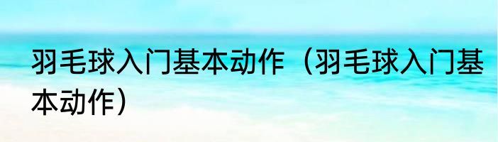 羽毛球入门基本动作（羽毛球入门基本动作）