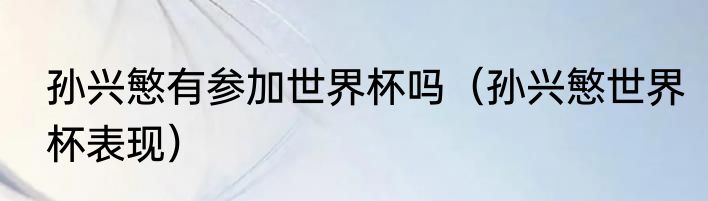 孙兴慜有参加世界杯吗（孙兴慜世界杯表现）