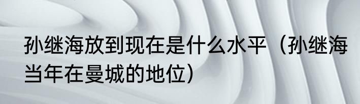 孙继海放到现在是什么水平（孙继海当年在曼城的地位）