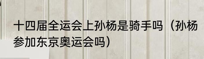 十四届全运会上孙杨是骑手吗（孙杨参加东京奥运会吗）