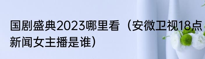 国剧盛典2023哪里看（安微卫视18点新闻女主播是谁）