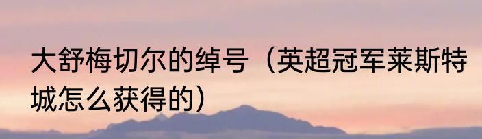 大舒梅切尔的绰号（英超冠军莱斯特城怎么获得的）