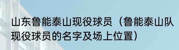 山东鲁能泰山现役球员（鲁能泰山队现役球员的名字及场上位置）