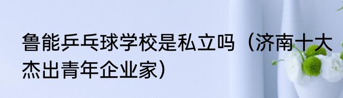 鲁能乒乓球学校是私立吗（济南十大杰出青年企业家）