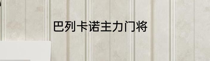 巴列卡诺主力门将