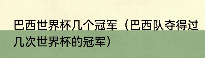 巴西世界杯几个冠军（巴西队夺得过几次世界杯的冠军）