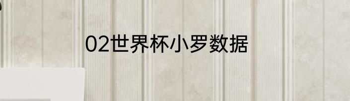 02世界杯小罗数据