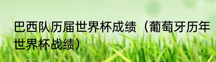 巴西队历届世界杯成绩（葡萄牙历年世界杯战绩）