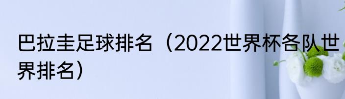 巴拉圭足球排名（2022世界杯各队世界排名）