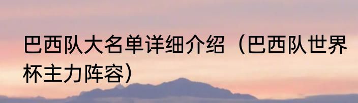 巴西队大名单详细介绍（巴西队世界杯主力阵容）