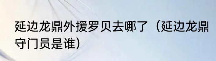 延边龙鼎外援罗贝去哪了（延边龙鼎守门员是谁）