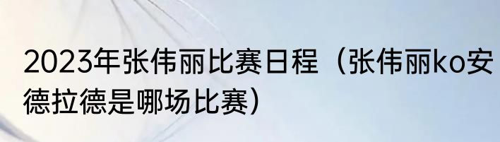 2023年张伟丽比赛日程（张伟丽ko安德拉德是哪场比赛）