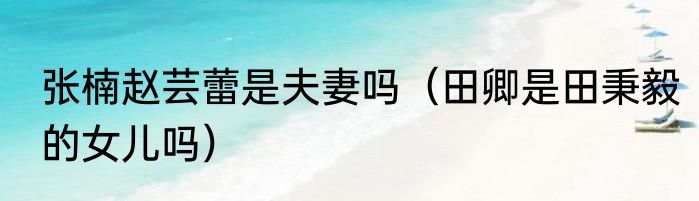 张楠赵芸蕾是夫妻吗（田卿是田秉毅的女儿吗）