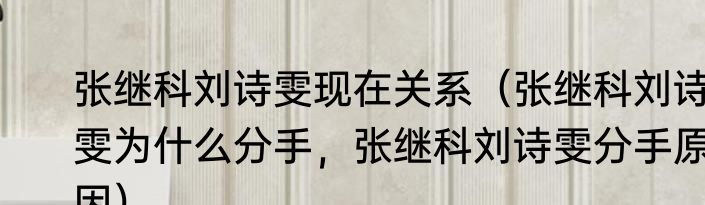 张继科刘诗雯现在关系（张继科刘诗雯为什么分手，张继科刘诗雯分手原因）