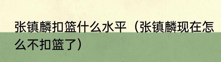 张镇麟扣篮什么水平（张镇麟现在怎么不扣篮了）