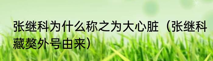 张继科为什么称之为大心脏（张继科藏獒外号由来）