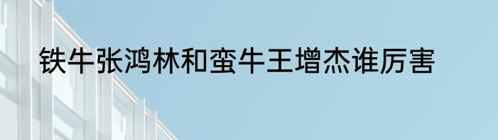 铁牛张鸿林和蛮牛王增杰谁厉害