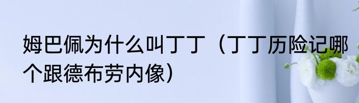 姆巴佩为什么叫丁丁（丁丁历险记哪个跟德布劳内像）