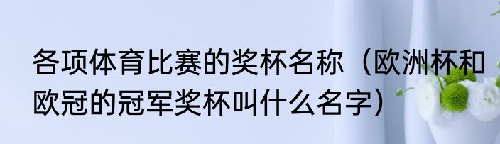 各项体育比赛的奖杯名称（欧洲杯和欧冠的冠军奖杯叫什么名字）