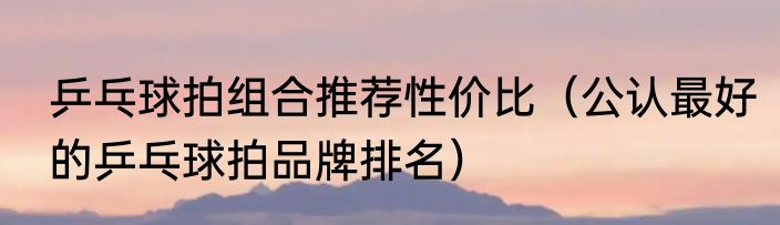 乒乓球拍组合推荐性价比（公认最好的乒乓球拍品牌排名）