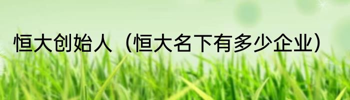 恒大创始人（恒大名下有多少企业）