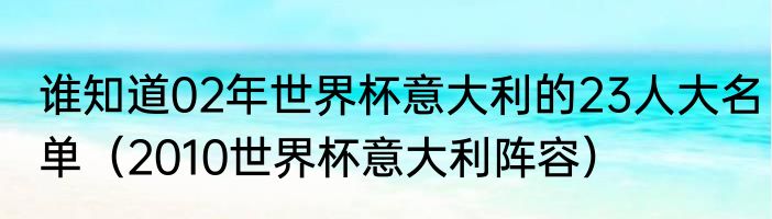 谁知道02年世界杯意大利的23人大名单（2010世界杯意大利阵容）