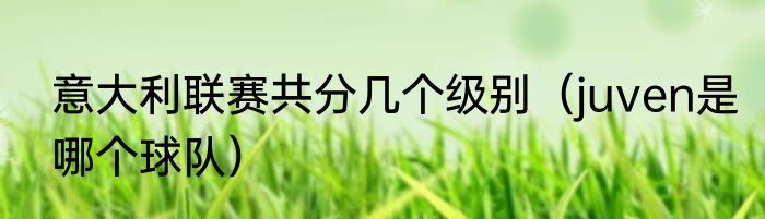 意大利联赛共分几个级别（juven是哪个球队）