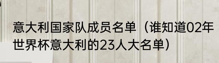 意大利国家队成员名单（谁知道02年世界杯意大利的23人大名单）