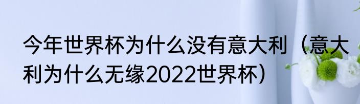 今年世界杯为什么没有意大利（意大利为什么无缘2022世界杯）