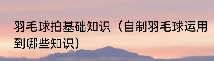 羽毛球拍基础知识（自制羽毛球运用到哪些知识）