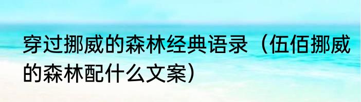穿过挪威的森林经典语录（伍佰挪威的森林配什么文案）