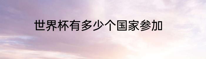 世界杯有多少个国家参加