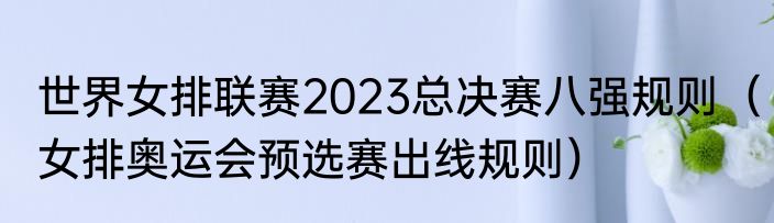 世界女排联赛2023总决赛八强规则（女排奥运会预选赛出线规则）