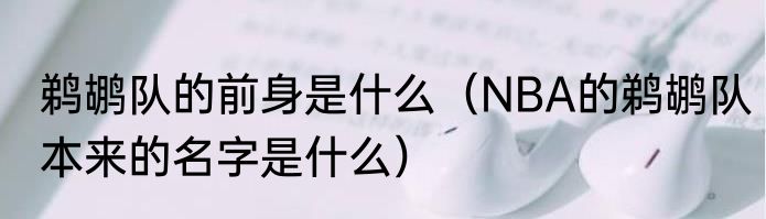 鹈鹕队的前身是什么（NBA的鹈鹕队本来的名字是什么）