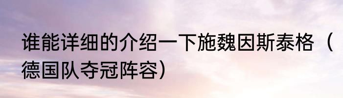 谁能详细的介绍一下施魏因斯泰格（德国队夺冠阵容）