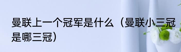 曼联上一个冠军是什么（曼联小三冠是哪三冠）
