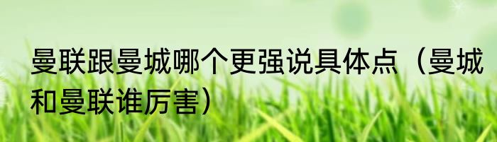 曼联跟曼城哪个更强说具体点（曼城和曼联谁厉害）