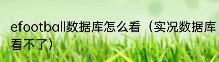 efootball数据库怎么看（实况数据库看不了）