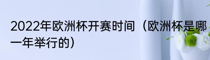 2022年欧洲杯开赛时间（欧洲杯是哪一年举行的）