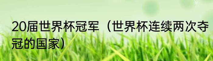 20届世界杯冠军（世界杯连续两次夺冠的国家）