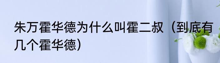 朱万霍华德为什么叫霍二叔（到底有几个霍华德）