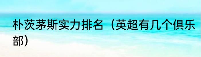 朴茨茅斯实力排名（英超有几个俱乐部）