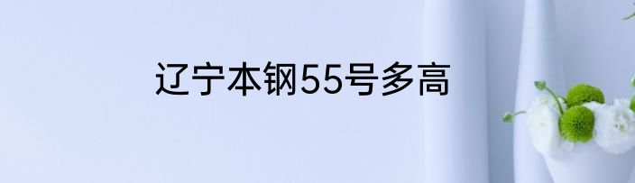 辽宁本钢55号多高