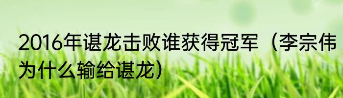 2016年谌龙击败谁获得冠军（李宗伟为什么输给谌龙）