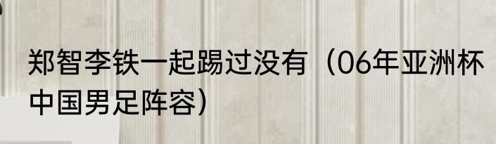 郑智李铁一起踢过没有（06年亚洲杯中国男足阵容）