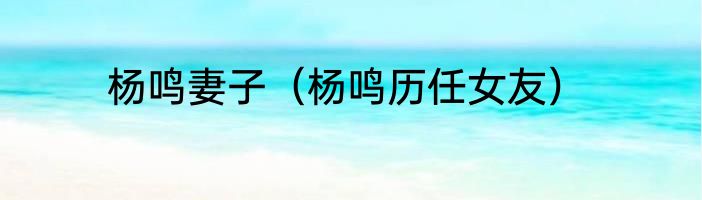 杨鸣妻子（杨鸣历任女友）