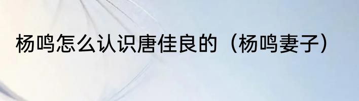 杨鸣怎么认识唐佳良的（杨鸣妻子）