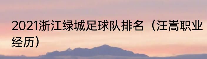 2021浙江绿城足球队排名（汪嵩职业经历）